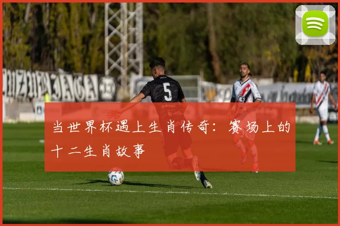 当世界杯遇上生肖传奇：赛场上的十二生肖故事