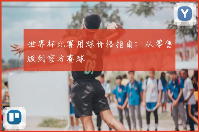 世界杯比赛用球价格指南：从零售版到官方赛球