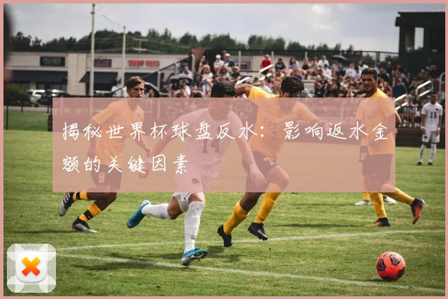 揭秘世界杯球盘反水：影响返水金额的关键因素