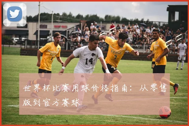 世界杯比赛用球价格指南:从零售版到官方赛球