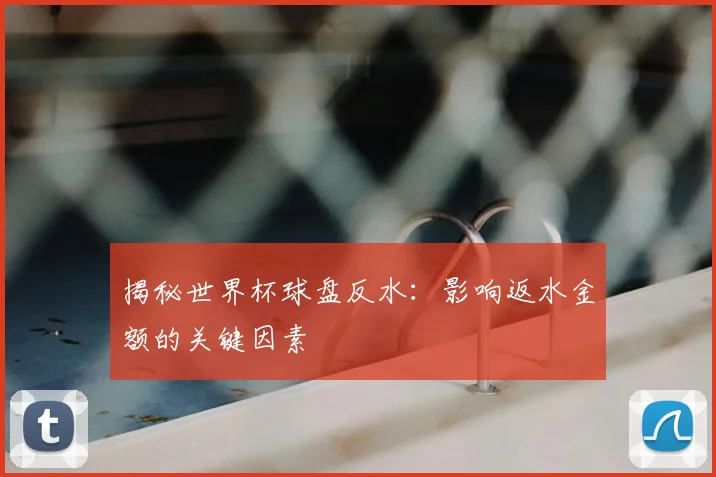 揭秘世界杯球盘反水：影响返水金额的关键因素