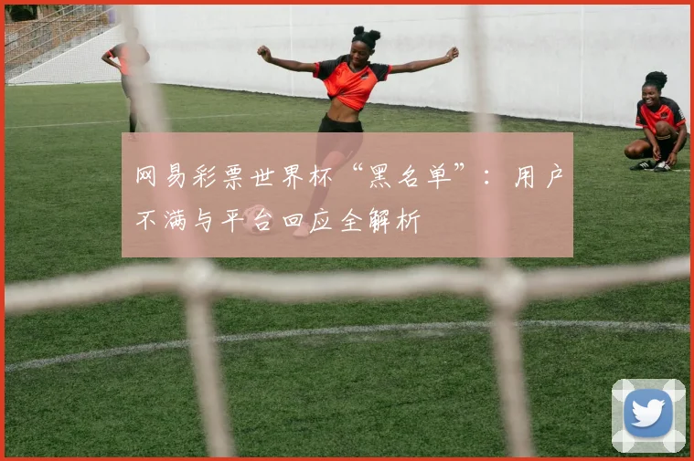 网易彩票世界杯“黑名单”：用户不满与平台回应全解析