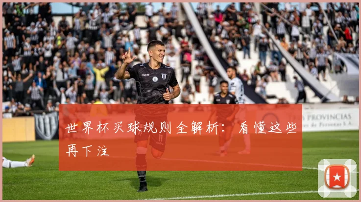 世界杯买球规则全解析：看懂这些再下注