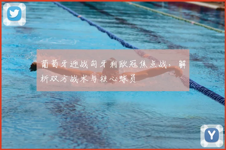 葡萄牙迎战匈牙利欧冠焦点战,解析双方战术与核心球员