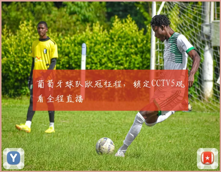 葡萄牙球队欧冠征程，锁定CCTV5观看全程直播